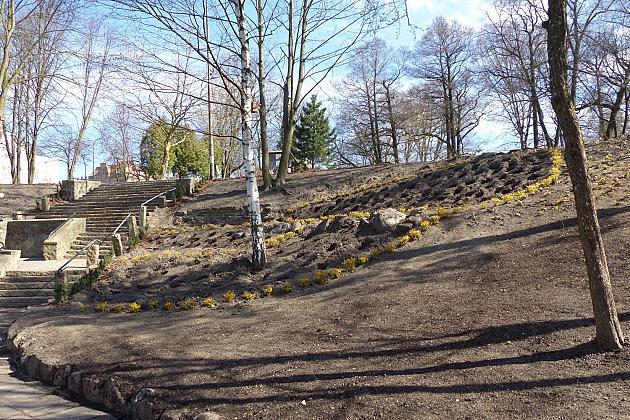 Zielono przy stawie w Parku Chrobrego