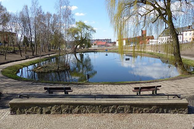 Zielono przy stawie w Parku Chrobrego