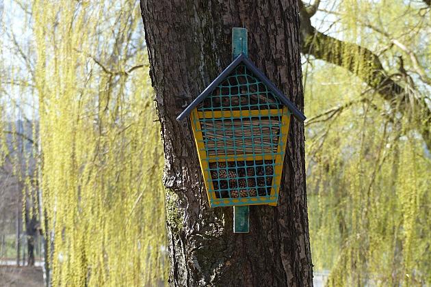 Zielono przy stawie w Parku Chrobrego