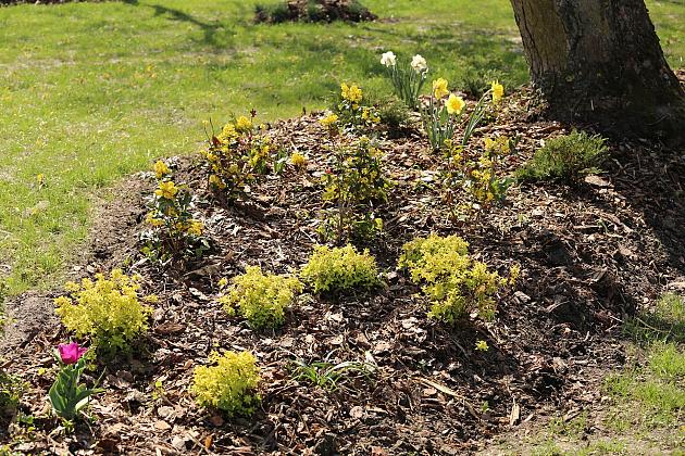 Wiosennie w lęborskim parku