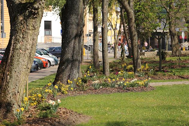 Wiosennie w lęborskim parku