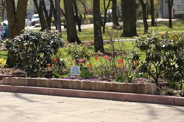 Wiosennie w lęborskim parku