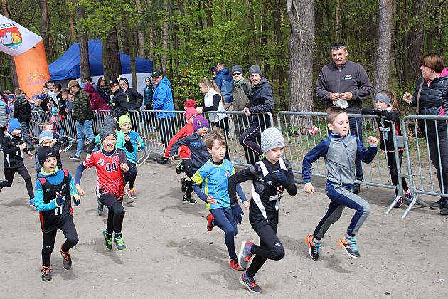 Biegali o Puchar Konstytucji 3 Maja