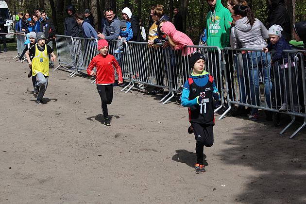 Biegali o Puchar Konstytucji 3 Maja