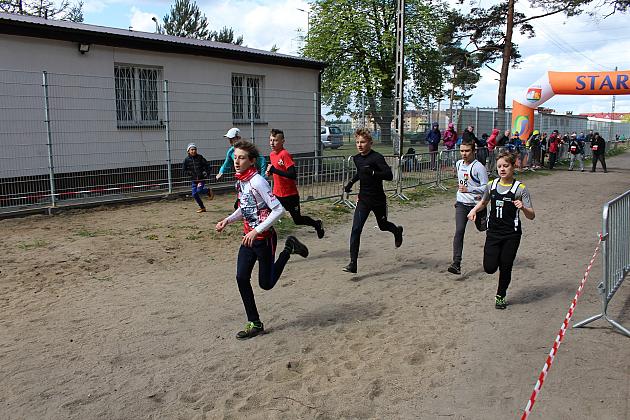 Biegali o Puchar Konstytucji 3 Maja