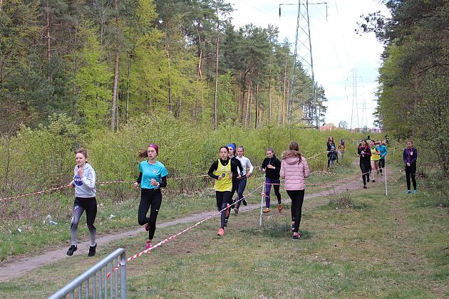 Biegali o Puchar Konstytucji 3 Maja