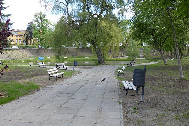 Staw w Parku Chrobrego z nowymi ławkami