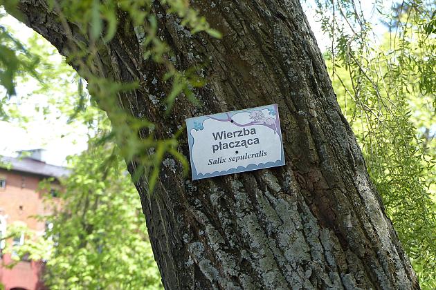 Staw w Parku Chrobrego z nowymi ławkami