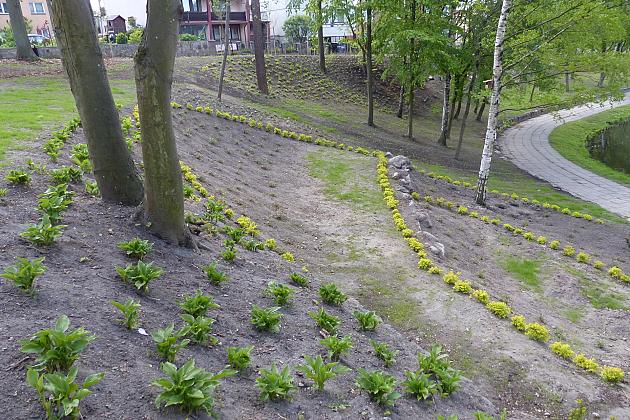 Staw w Parku Chrobrego z nowymi ławkami