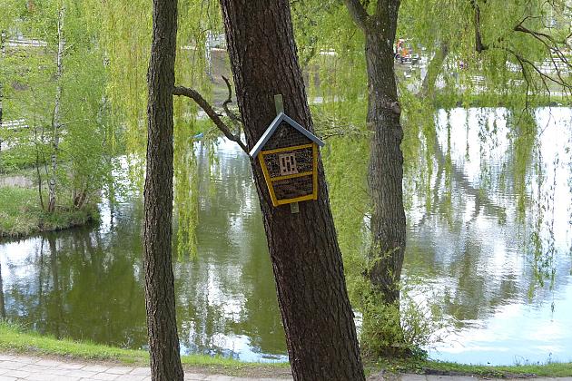 Staw w Parku Chrobrego z nowymi ławkami
