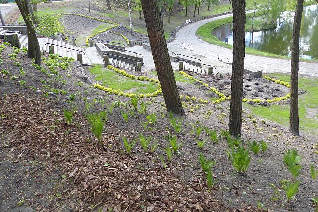 Staw w Parku Chrobrego z nowymi ławkami