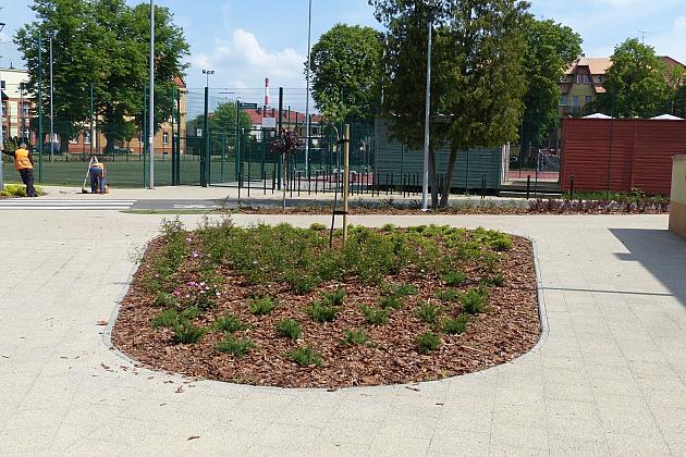 Rekreacja i wypoczynek. Rolkowisko oficjalnie otwarte!