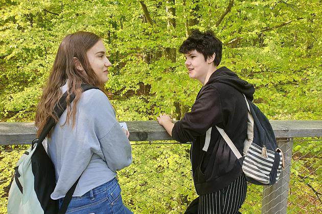 Polsko-niemiecka wymiana szkolna w Stralsundzie