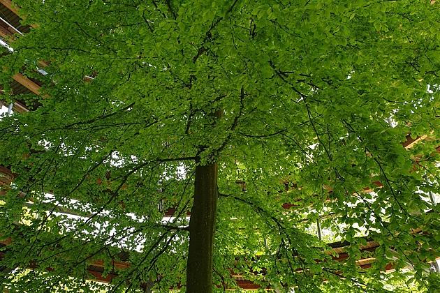 Polsko-niemiecka wymiana szkolna w Stralsundzie