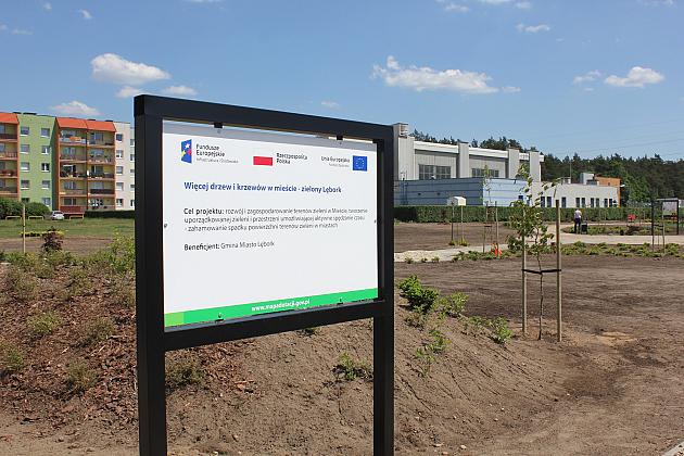 Zielono na Osiedlu Sportowa