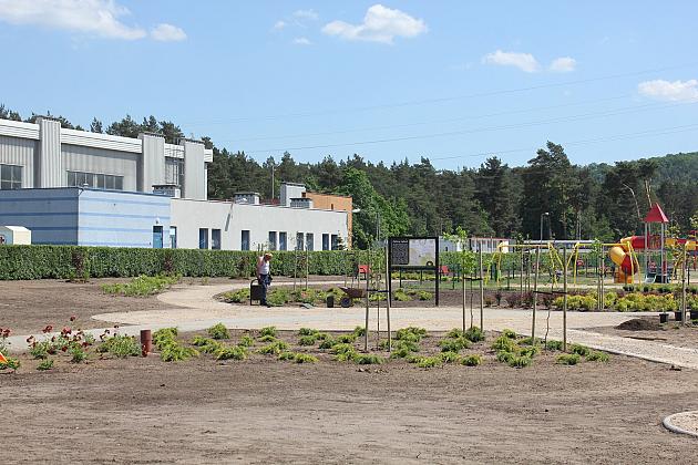 Zielono na Osiedlu Sportowa