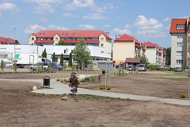 Zielono na Osiedlu Sportowa