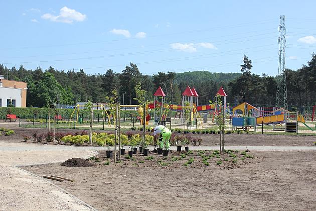 Zielono na Osiedlu Sportowa