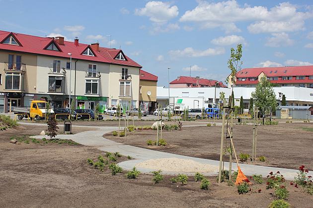 Zielono na Osiedlu Sportowa