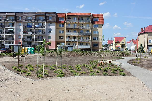 Zielono na Osiedlu Sportowa
