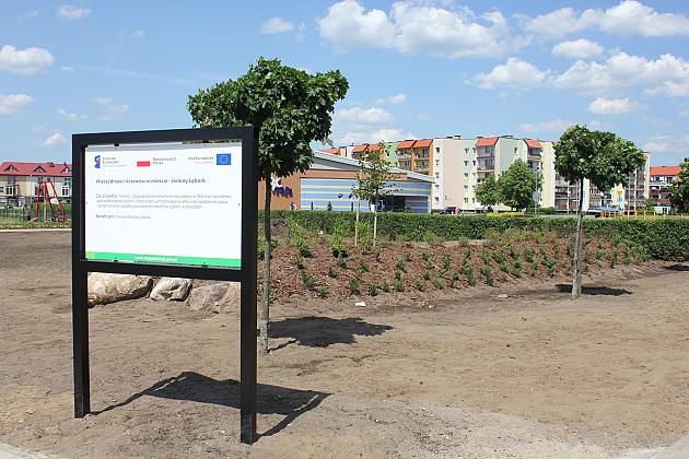 Zielono na Osiedlu Sportowa