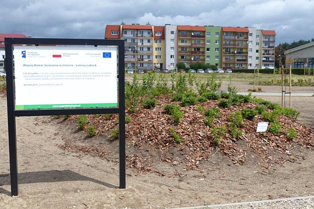 Zielone Osiedle Sportowa