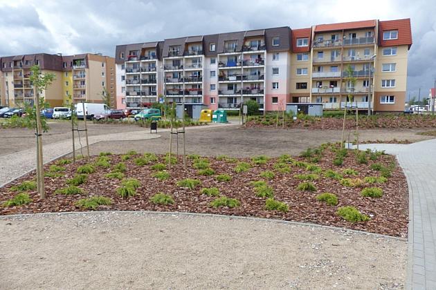 Zielone Osiedle Sportowa