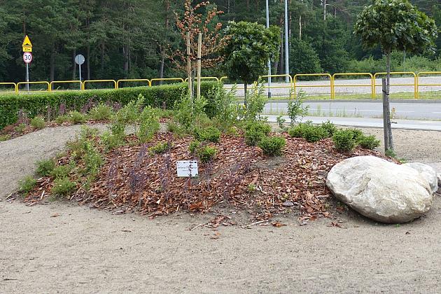 Zielone Osiedle Sportowa