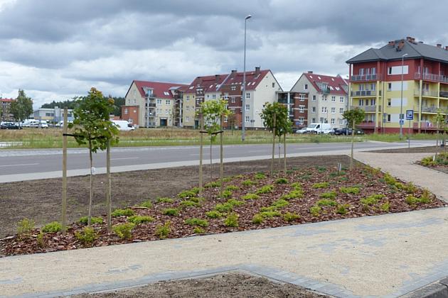 Zielone Osiedle Sportowa