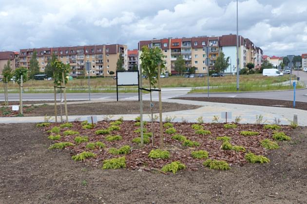 Zielone Osiedle Sportowa