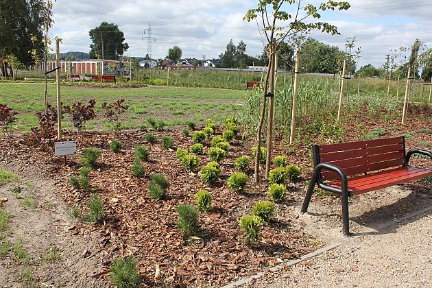 Zielona oaza przy Czołgistów