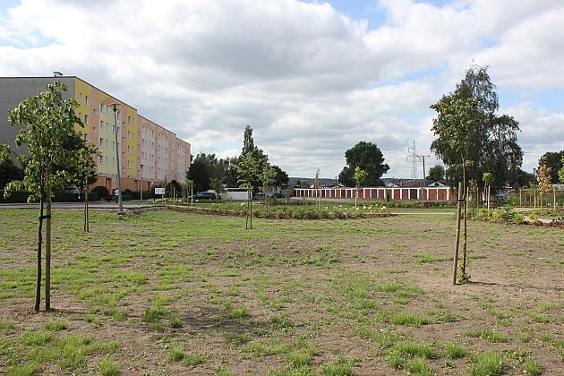 Zielona oaza przy Czołgistów