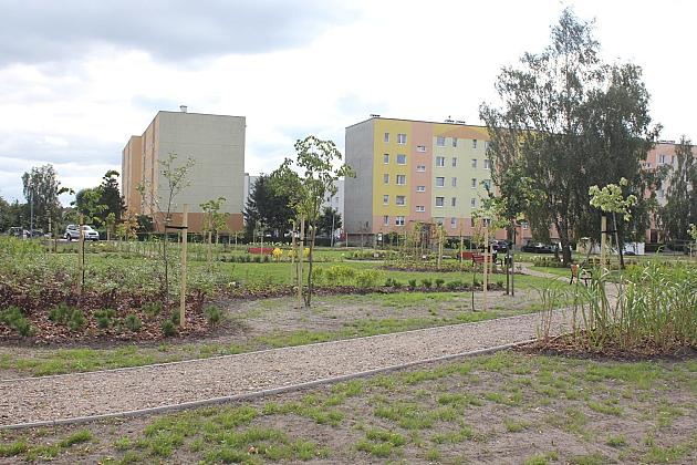 Zielona oaza przy Czołgistów