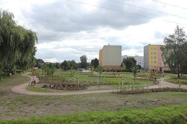 Zielona oaza przy Czołgistów