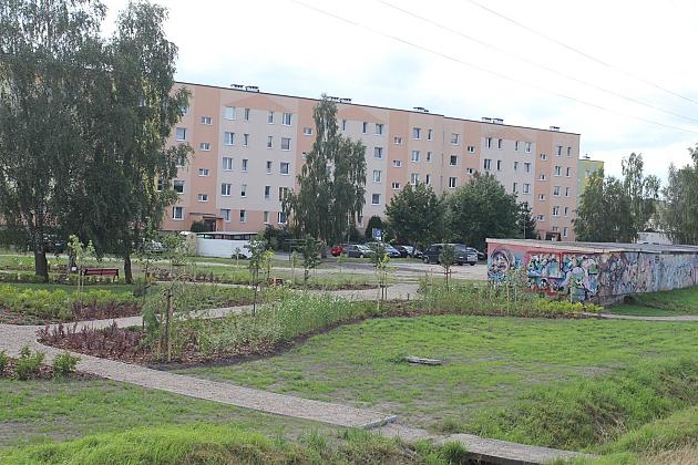 Zielona oaza przy Czołgistów