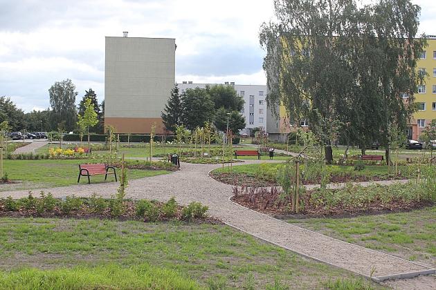 Zielona oaza przy Czołgistów