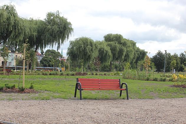 Zielona oaza przy Czołgistów