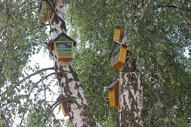 Zielona oaza przy Czołgistów