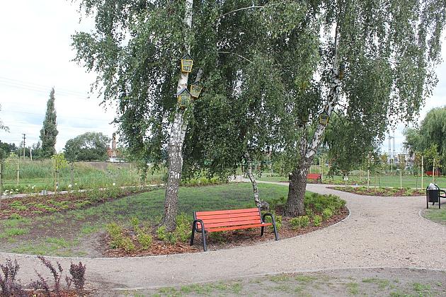 Zielona oaza przy Czołgistów