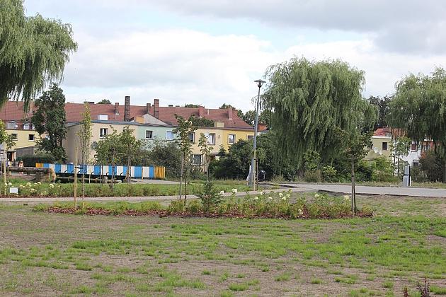 Zielona oaza przy Czołgistów