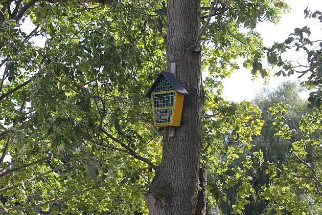 „Morskie Oko” w zielonej odsłonie