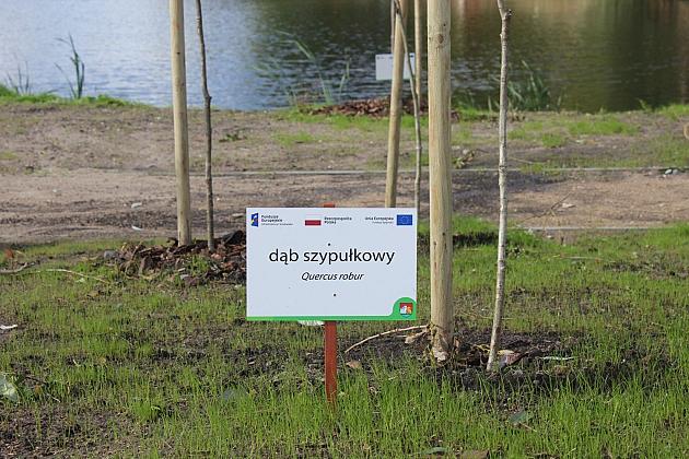 „Morskie Oko” w zielonej odsłonie