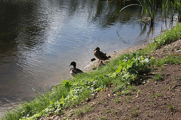 „Morskie Oko” w zielonej odsłonie