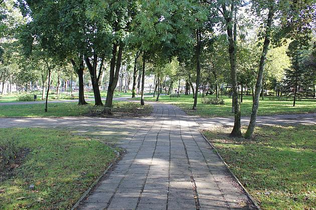 Park Michalskiego – ruszył II etap „Zielonej Rewolucji”