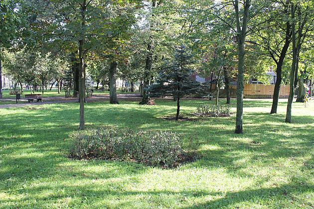 Park Michalskiego – ruszył II etap „Zielonej Rewolucji”