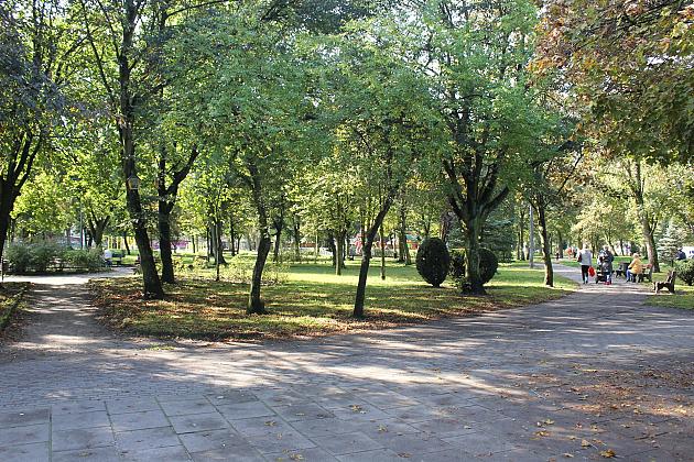 Park Michalskiego – ruszył II etap „Zielonej Rewolucji”