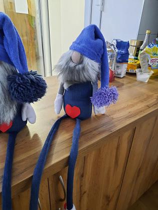 Seniorzy charytatywnie