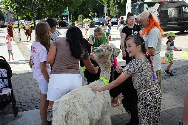 Letnie czwartki z książką i… niespodzianką!