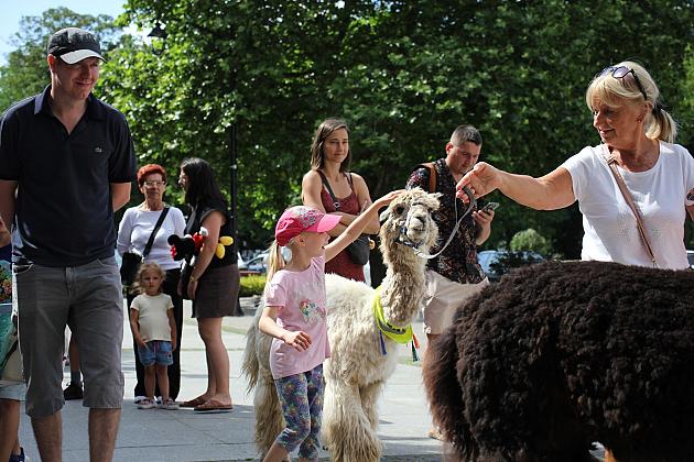 Letnie czwartki z książką i… niespodzianką!