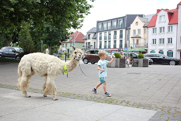 Letnie czwartki z książką i… niespodzianką!